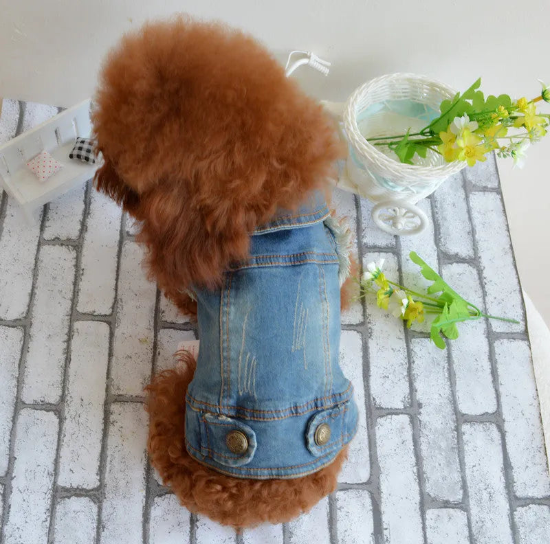 Retro scratch pattern denim dog vest for small breeds in dark blue and light blue options