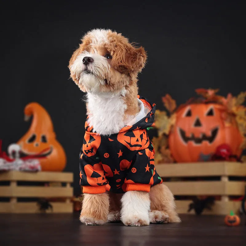 Wansheng orange pumpkin pet sweater for dogs and cats in polyester fabric