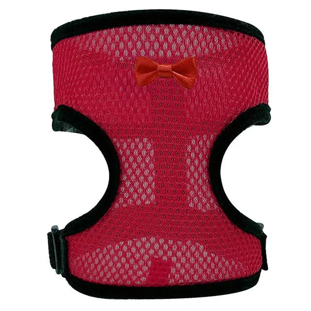 Colourful chicken vest harness and collar set for ducks and hens with a traction rope.
