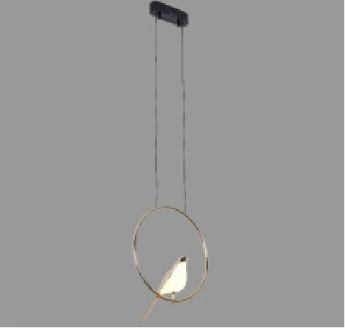 Modern simple aluminium alloy hall chandelier with adjustable height and iron frame.