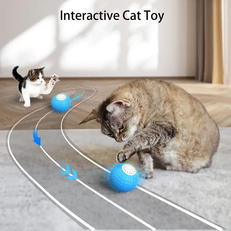 Remote control and colourful plastic rolling ball cat toy with sound on a wooden floor.