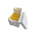 Three white EPS foam mini delivery boxes for bee breeding and hive management
