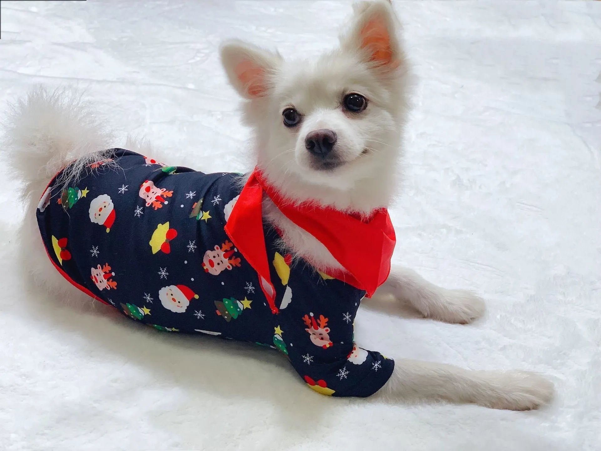 Family Christmas matching cotton pyjamas set with plaid and cartoon prints including dog sizes