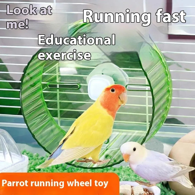 21cm plastic parrot exercise wheel running toy in transparent colour option