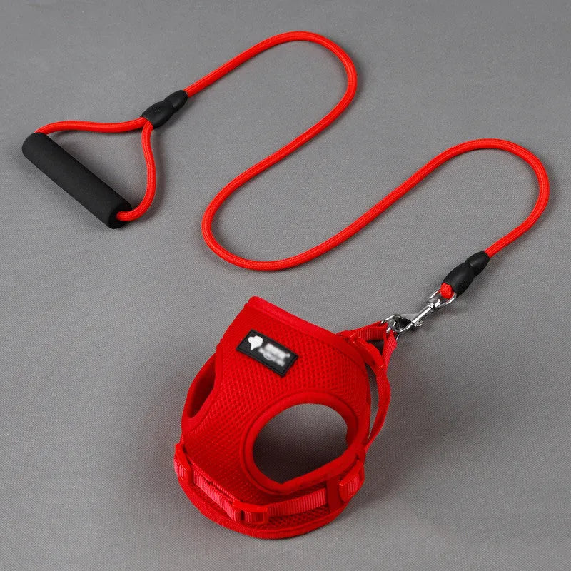 Blue dog leash and collar set with foam handle for small dogs 4-10kg