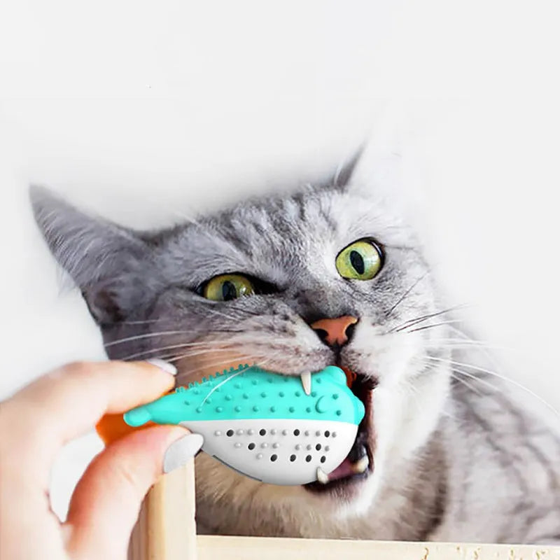 Silicone fish-shaped cat chew toy in blue colour measuring 12.2cm long