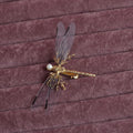 Gold dragonfly side clip headdress with detailed alloy construction and electroplated finish