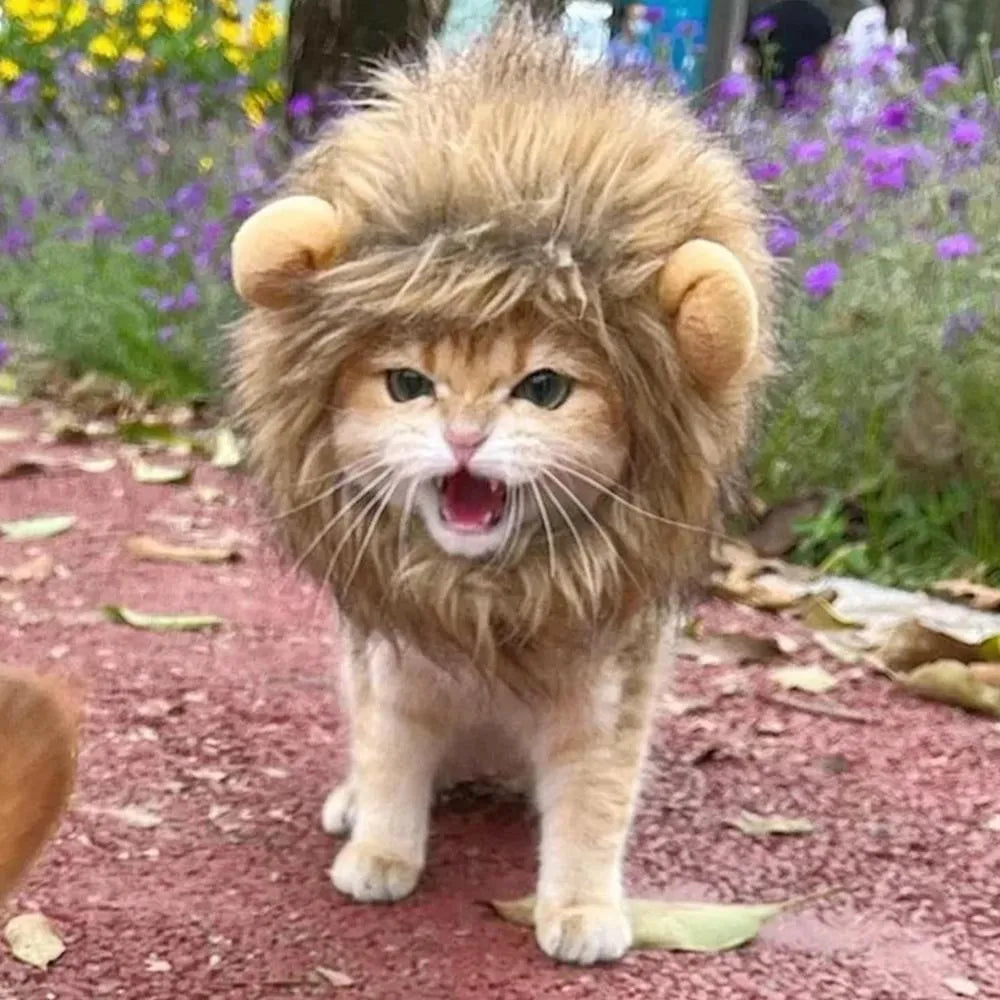Lion mane wig for cats and small dogs with plush ears and fluffy artificial hair