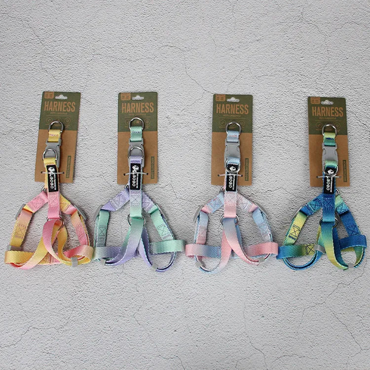 Gradient colour nylon dog leash set with matching collar in pink-blue combination