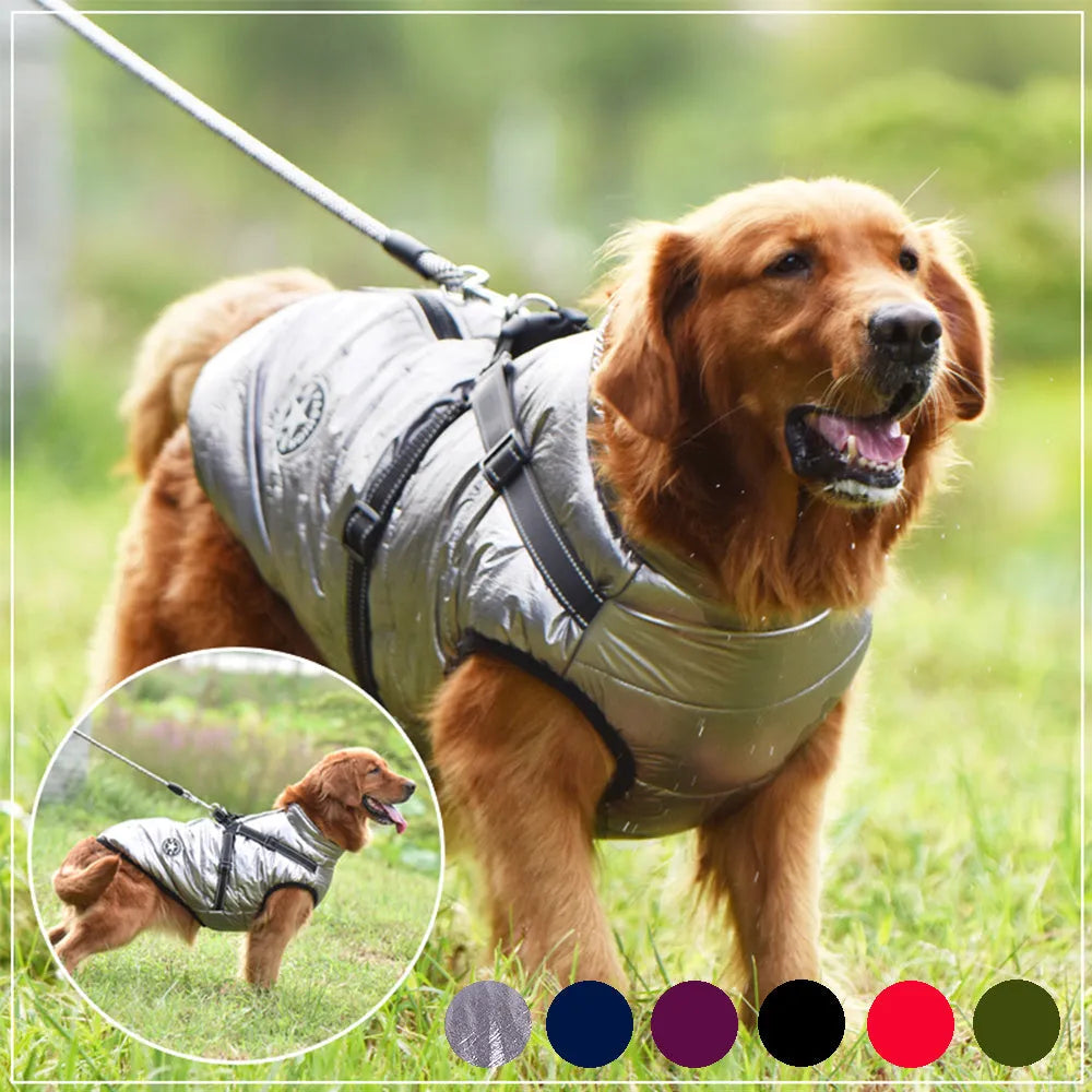 Red waterproof dog coat with an integrated harness on a dog, for winter weather.
