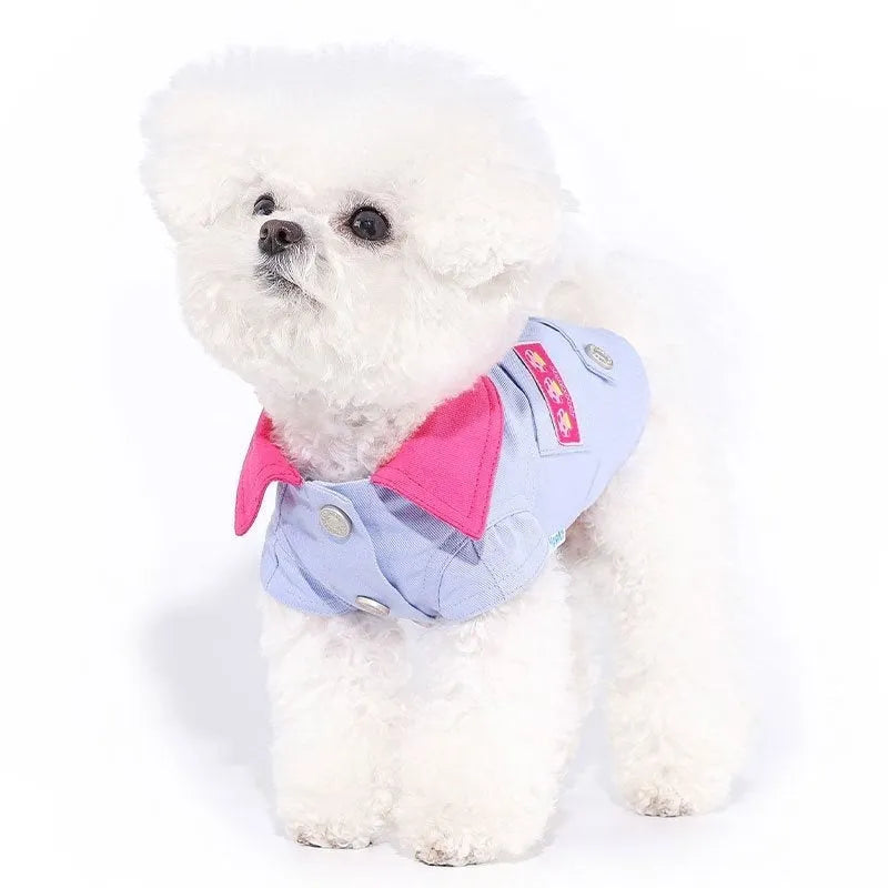 Blue and purple polyester dog vest with chest ring for traction rope attachment in seven sizes for small dogs