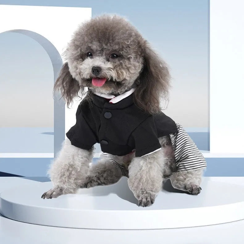 Cotton poodle dog clothes in skirt or four-legged pants styles for spring and autumn wear