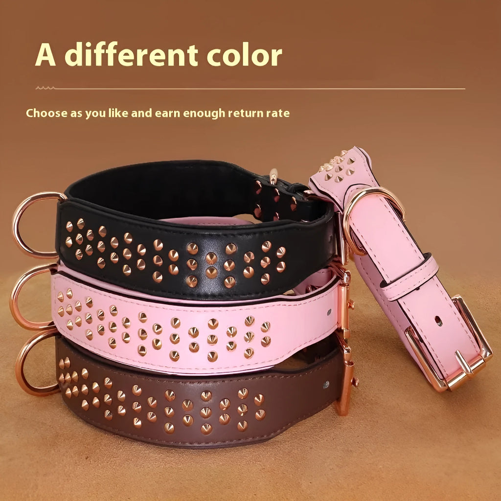 Brown leather dog collar with metal rivet studs, shown on a black background.