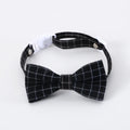 British-style pet hair band and bow tie set in woolen felt for weddings and carnival events