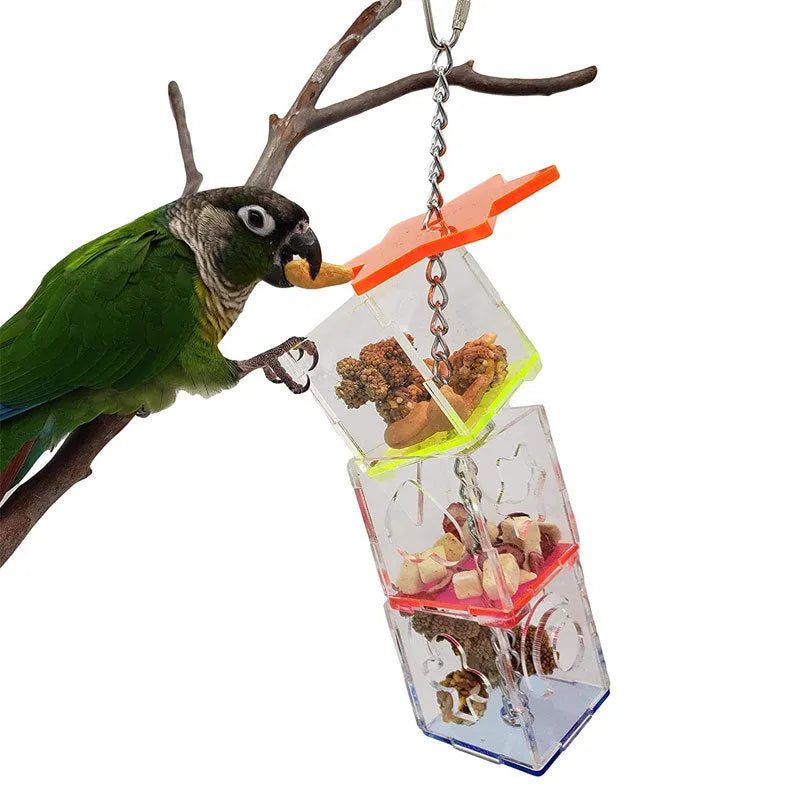 Clear acrylic bird foraging toy, 32cm long, for holding fruit and nuts.