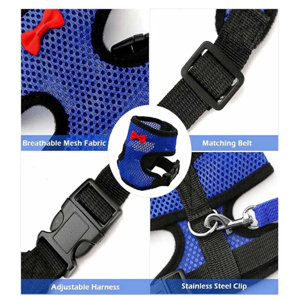 Colourful chicken vest harness and collar set for ducks and hens with a traction rope.