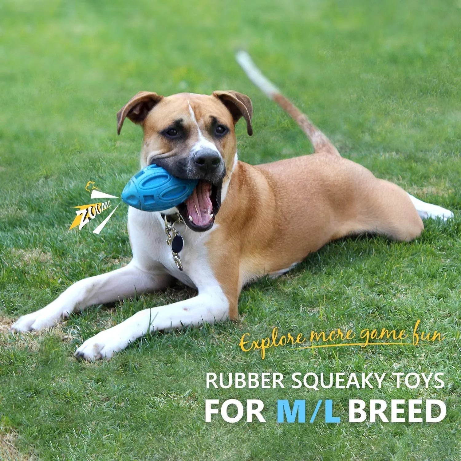 Natural rubber squeaky dog chew ball for medium and large breed aggressive chewers in blue, green, and orange colours