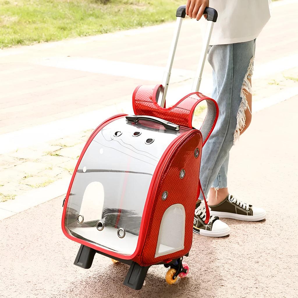 Transparent pet trolley carrier bag with shoulder strap in blue, pink, red, and yellow colour options.