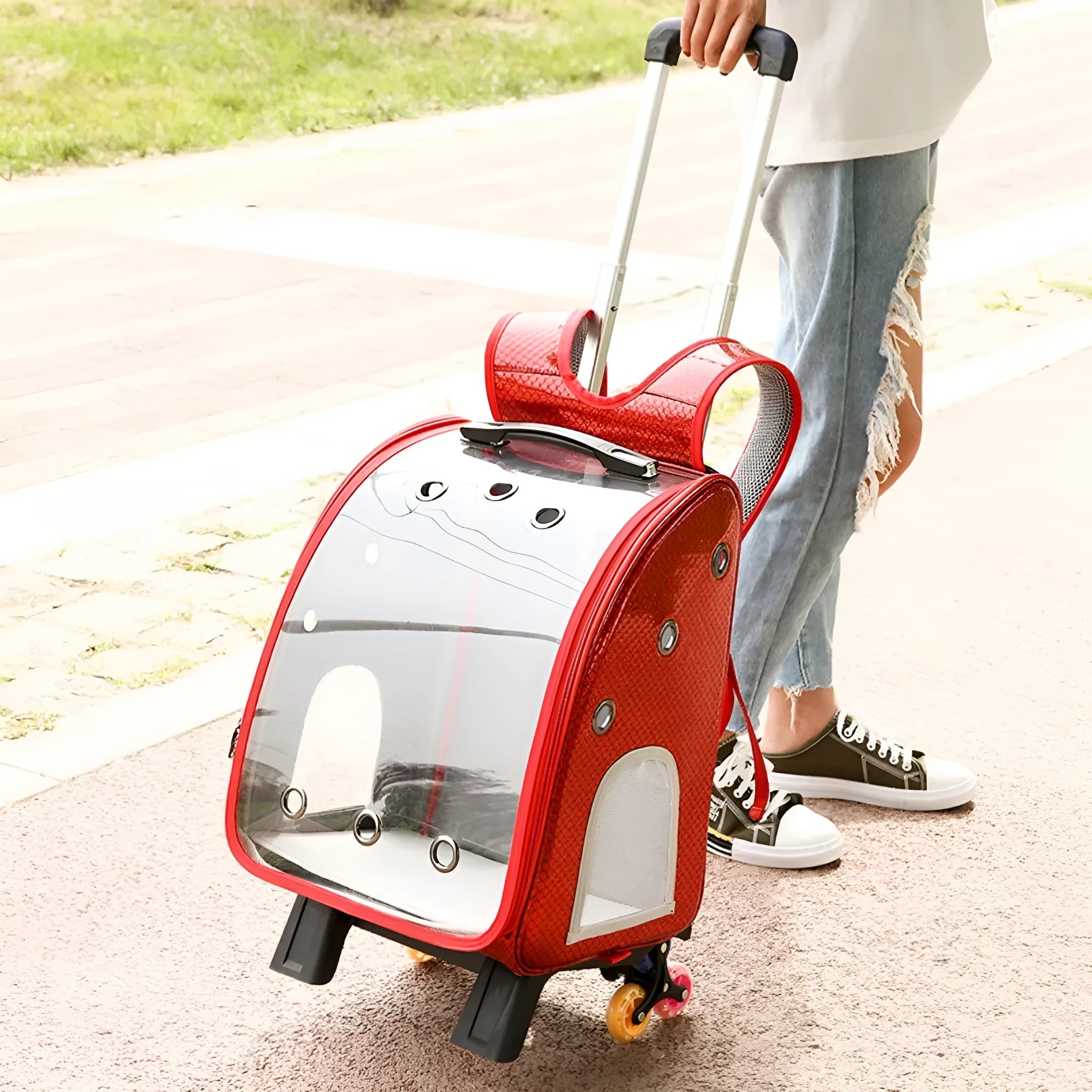 Transparent pet trolley carrier bag with shoulder strap in blue, pink, red, and yellow colour options.