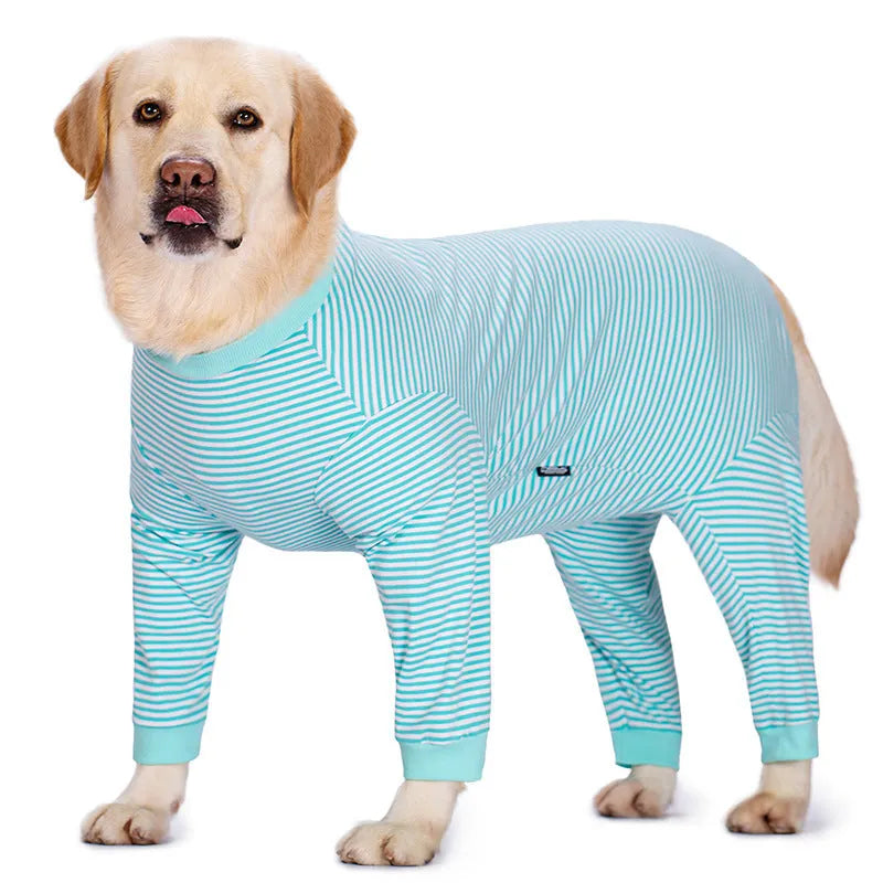 Sky blue striped polyester dog shirt on a thin Golden Retriever, showing four-legged fit.