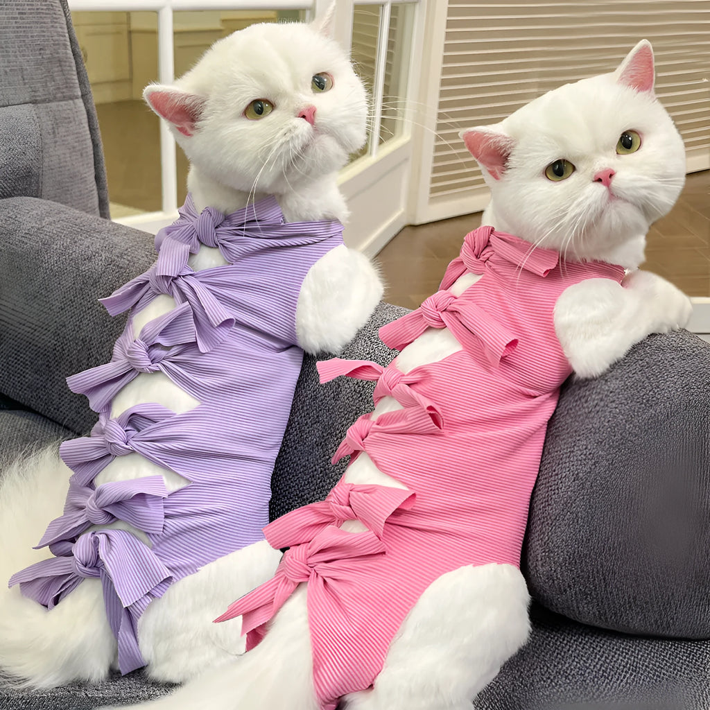 Lace-up polyester cat recovery suit in blue colour, shown on a cat model.