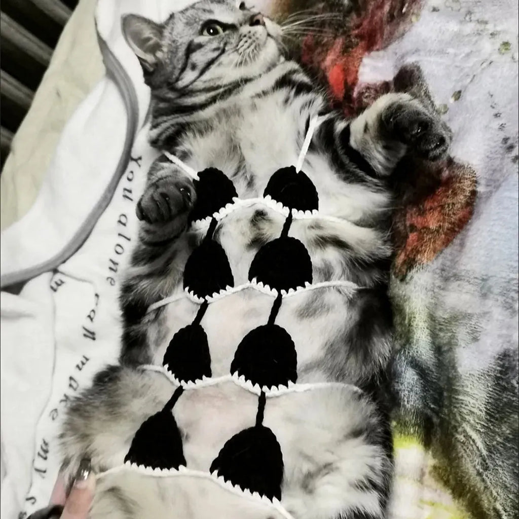 Cat wearing bikini costume in various colours for Halloween or party events