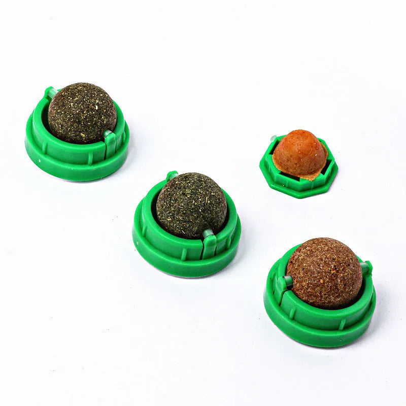 Plastic catnip ball cat toy for teeth cleaning in assorted colours including pink, blue, green.
