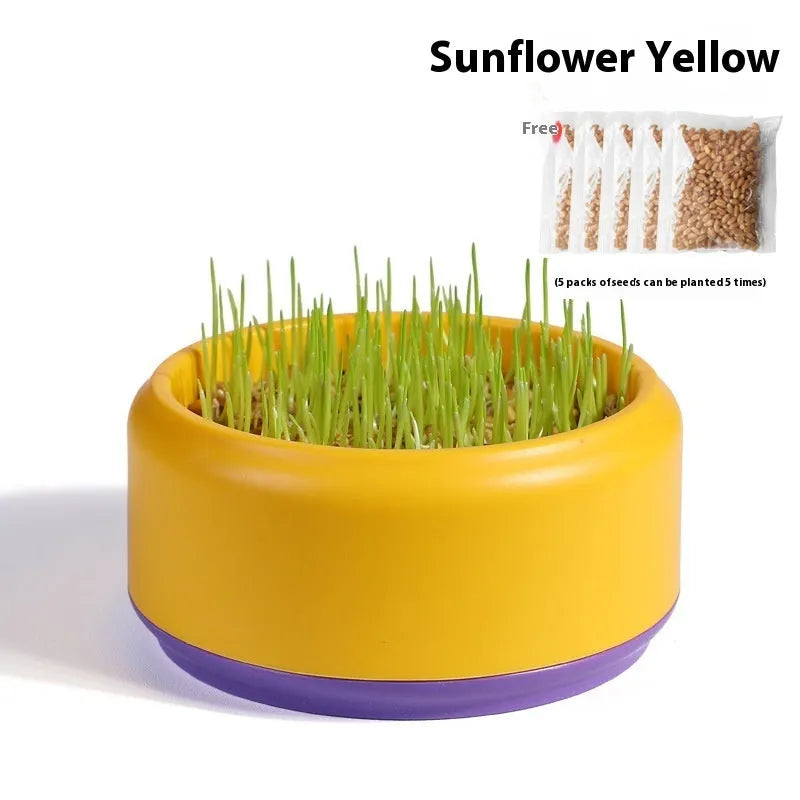 Hydroponic cat grass growing kit with soilless cup and five seed packs in blue, green or yellow colours