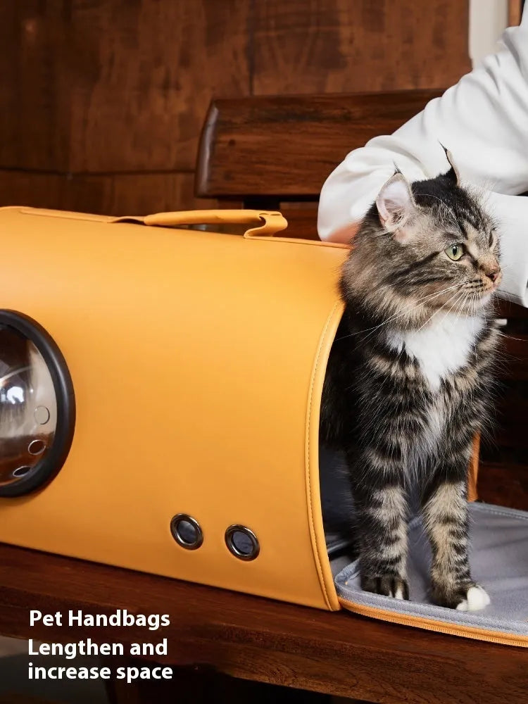 Portable pet carrier bag for cats and small dogs showing shoulder strap and handbag carrying options