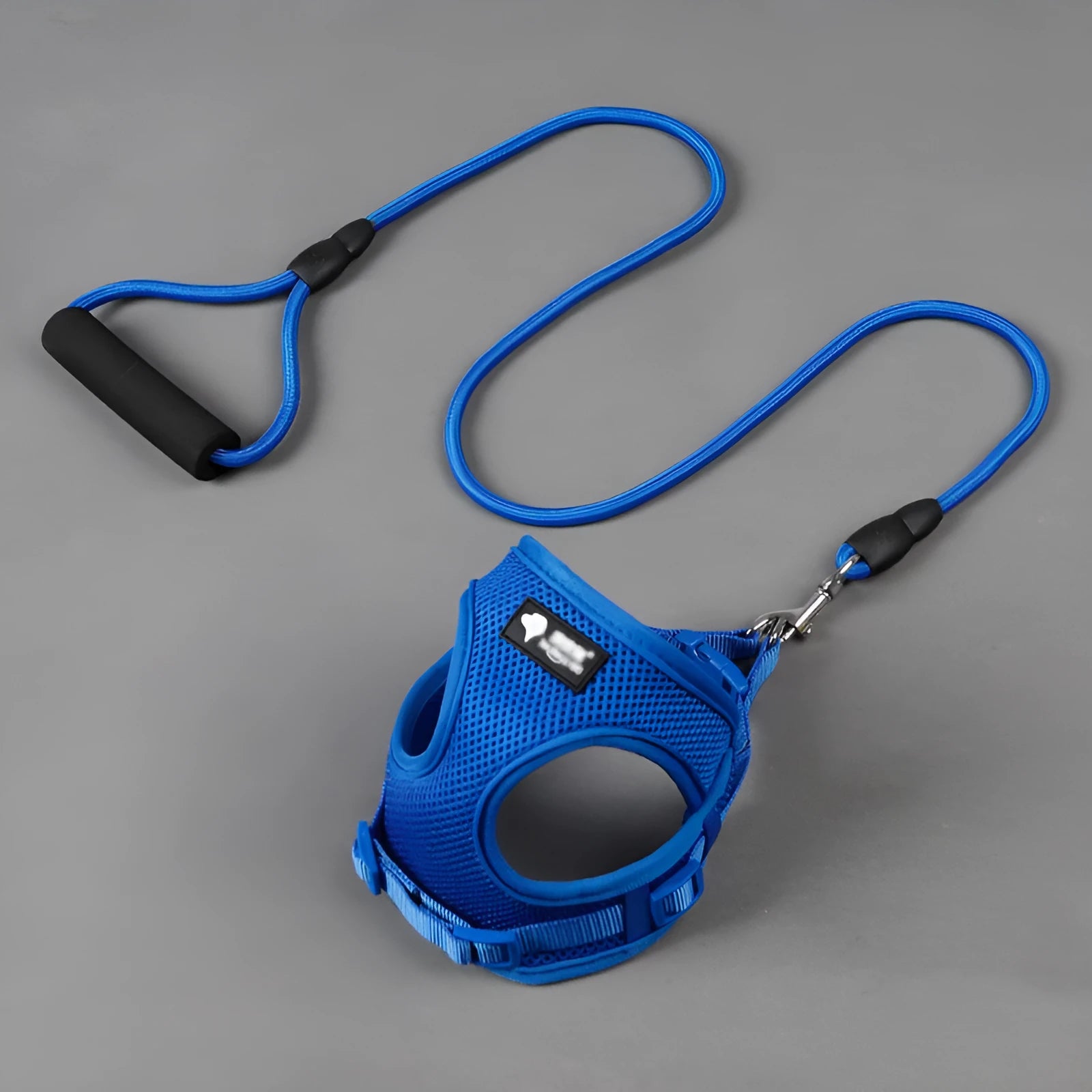 Blue dog leash and collar set with foam handle for small dogs 4-10kg