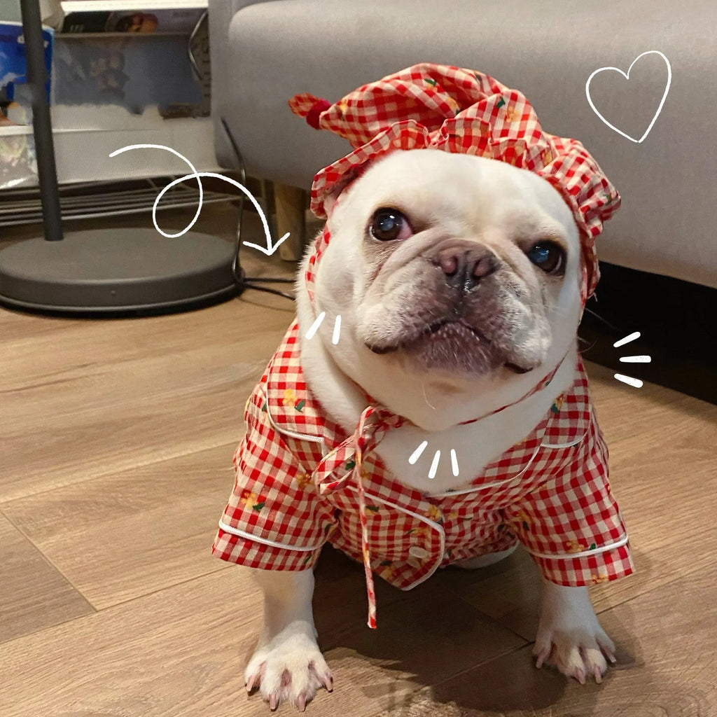 Red cotton pet pyjamas with attached hat on a teddy schnauzer dog