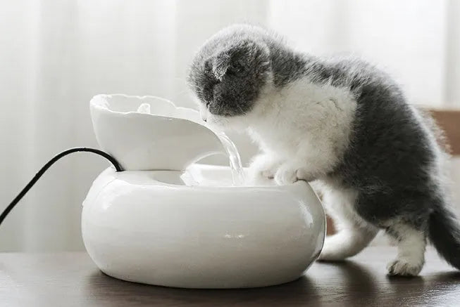White ceramic automatic cat water dispenser with leaf-shaped bowl and pump