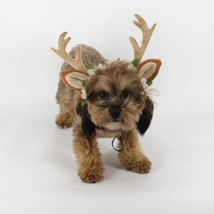 Cat and dog Christmas hat with short plush silk flower decoration in photo colour
