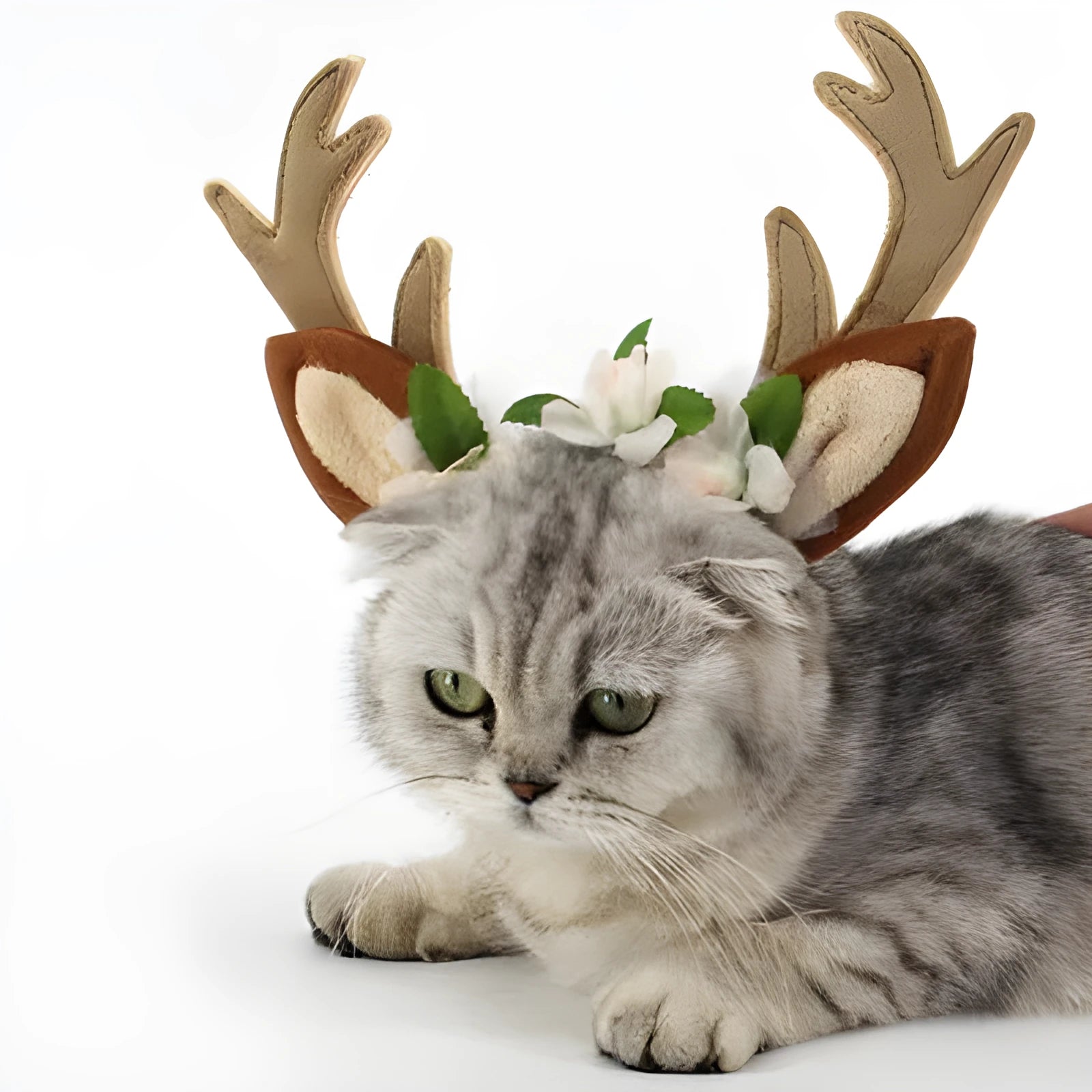 Cat and dog Christmas hat with short plush silk flower decoration in photo colour