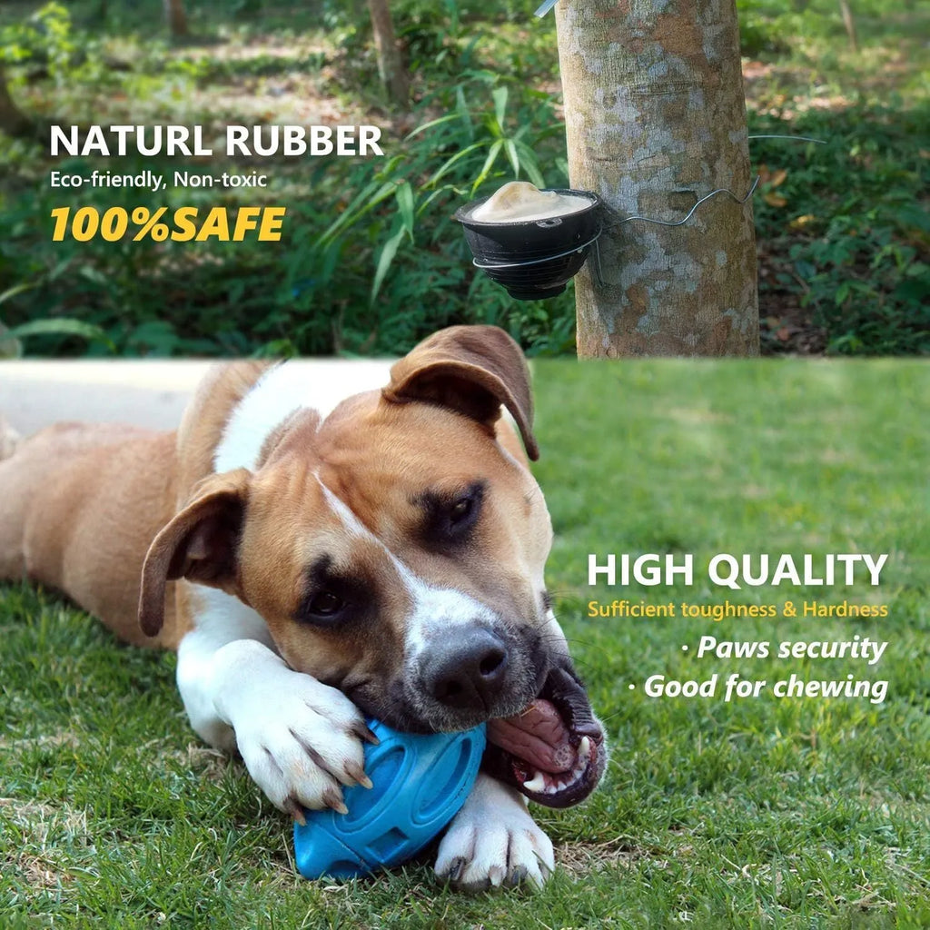 Natural rubber squeaky dog chew ball for medium and large breed aggressive chewers in blue, green, and orange colours