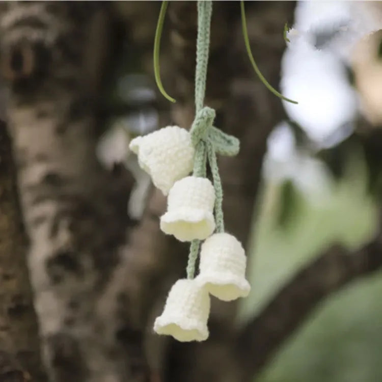 Green and white knitted wool car plant decoration hanging from a rope.