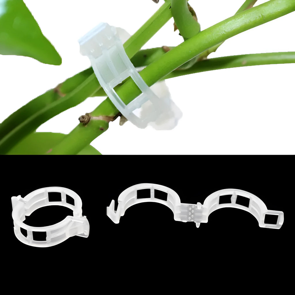 Set of 50 green and blue plastic grafting clips for supporting tomato plants and tree branches.