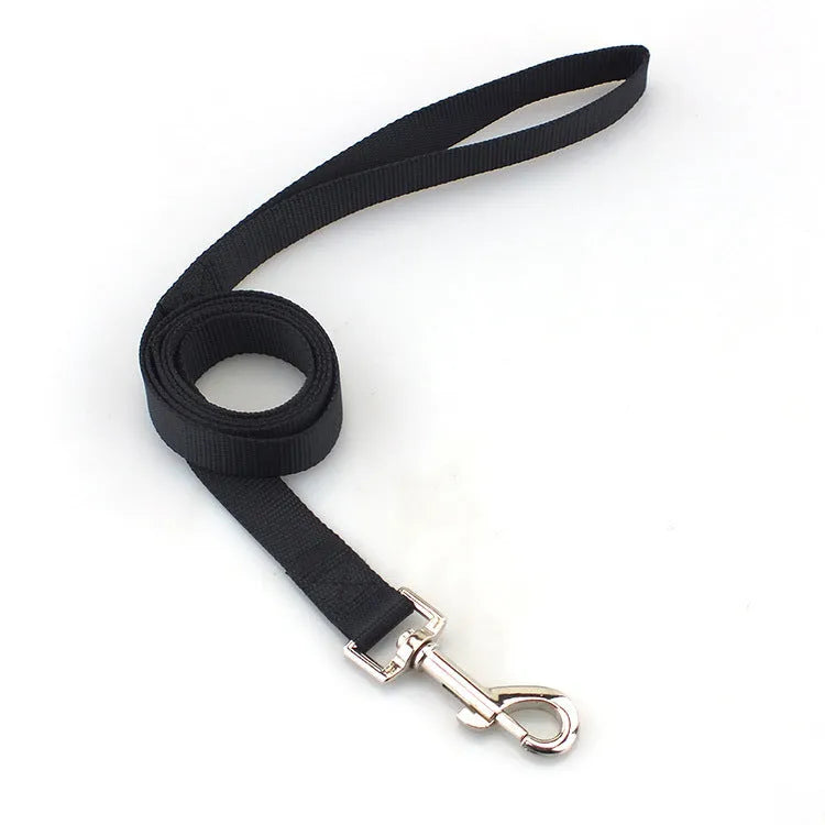 Solid colour nylon dog walking leash in blue held in a hand, showing the single rope design and hand loop.