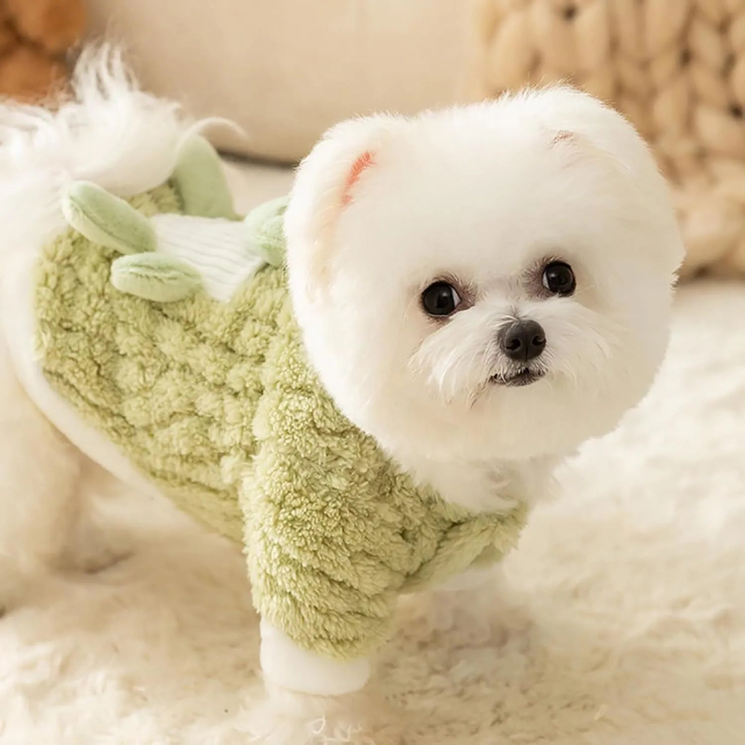 Green fluffy frog cartoon pet hoodie with 3D decal and D-ring for small medium dog cat