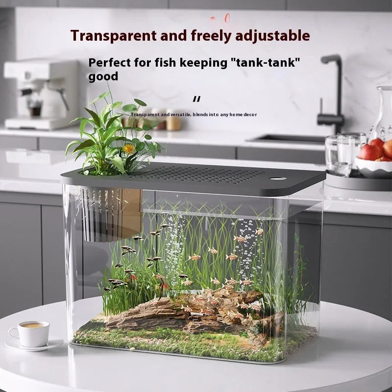 Black ecological betta fish tank with cover measuring 32cm long by 18.5cm wide