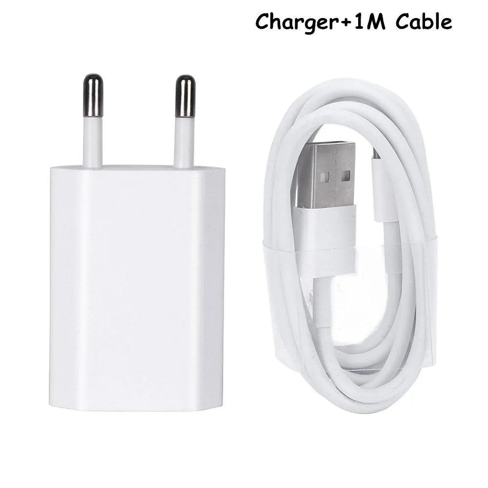5V 2A USB travel charger compatible with iPhone and iPad models with charging cable