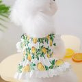 Rock yellow lemon polyester strap skirt dog dress for small to medium sized pets