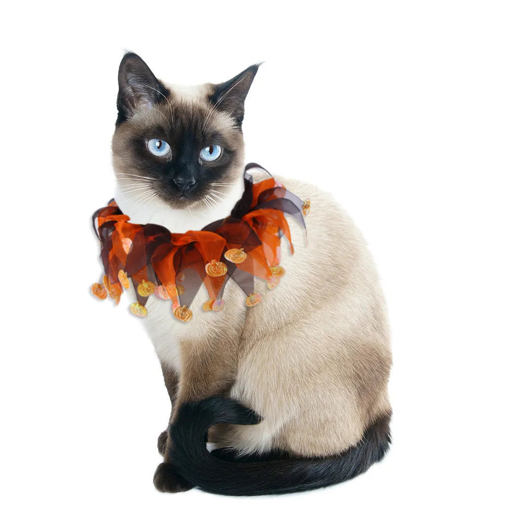 Colourful cloth dog collar with tie dye patterns in seasonal colours