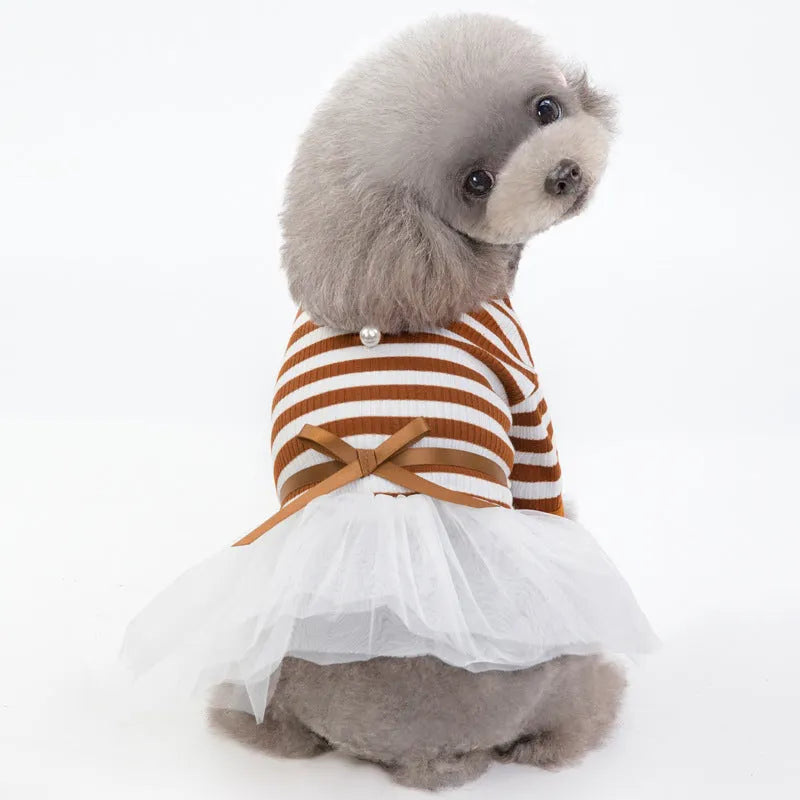 Bears Teddy cotton pet skirt for small female dogs in coffee colour