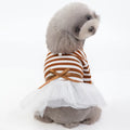 Bears Teddy cotton pet skirt for small female dogs in coffee colour