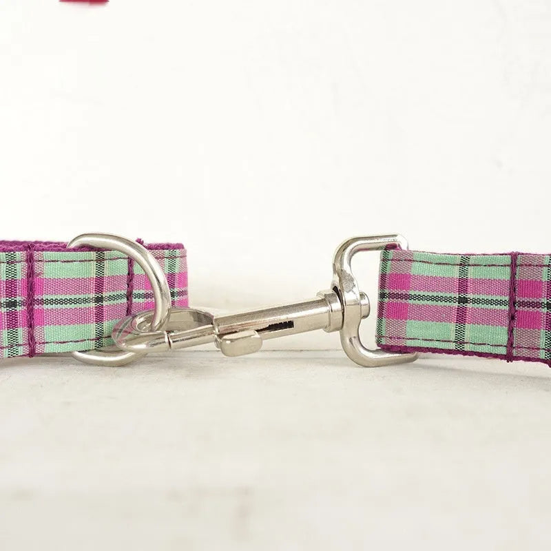 Mint Zigezi tear-resistant polyester dog collar and leash set on a light background