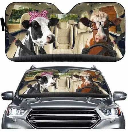 Aluminium foil telescopic car sun visor shown extended on a car windscreen.