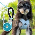 Blue adjustable dog harness vest connected to a hand-holding leash rope on a white background.
