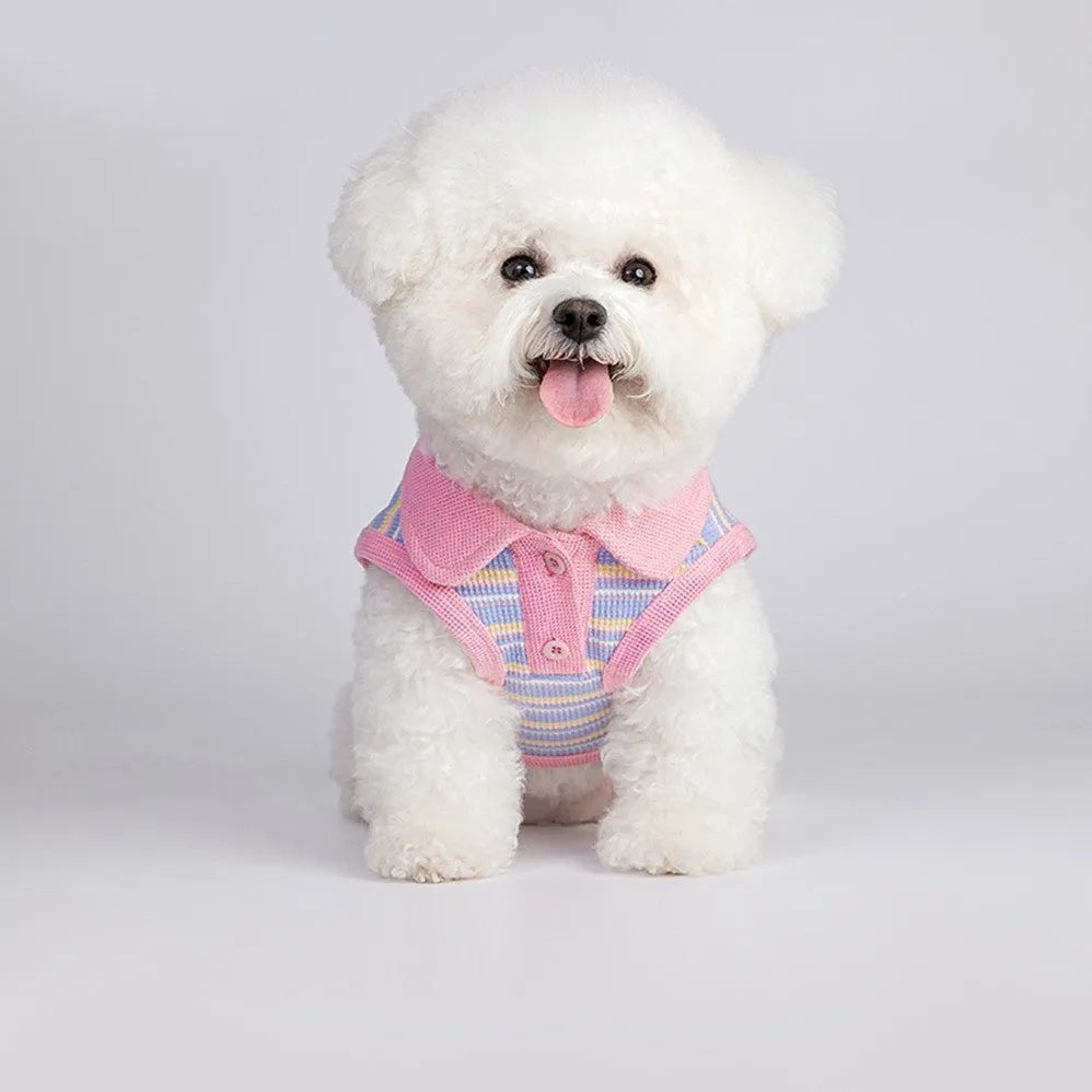 Pink purple vest for a small dog, showing the autumn pet clothing on a mannequin or model.