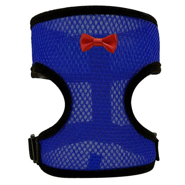 Colourful chicken vest harness and collar set for ducks and hens with a traction rope.